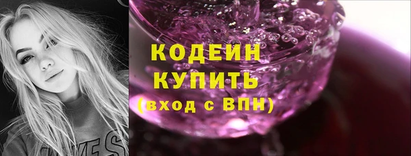 крисы Ельня