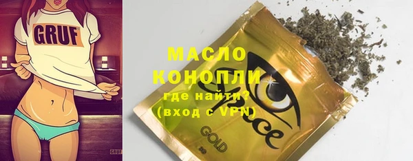 крисы Ельня