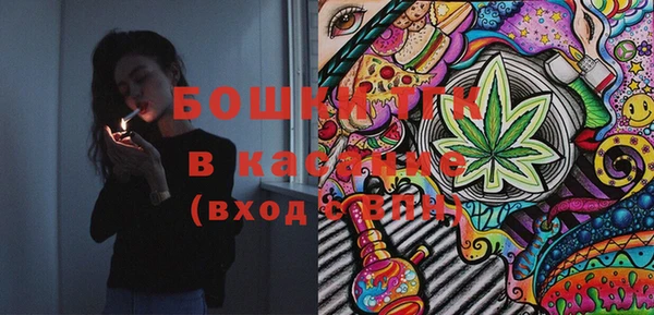 крисы Ельня