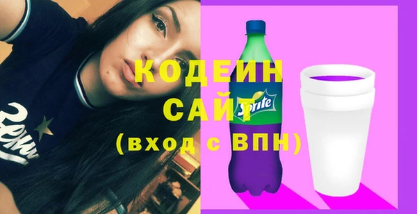 крисы Ельня