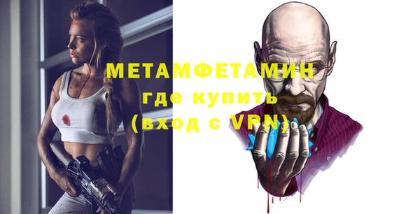 крисы Ельня