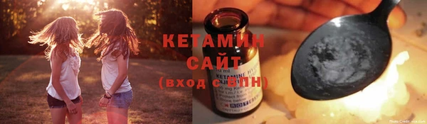 крисы Ельня