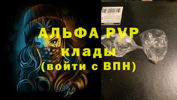 крисы Ельня