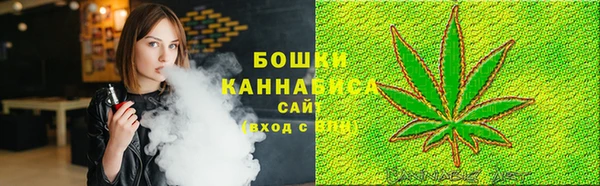 крисы Ельня