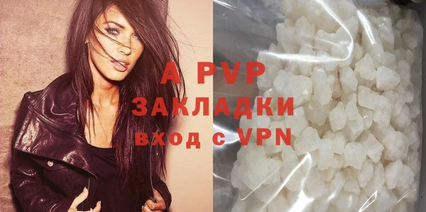 крисы Ельня
