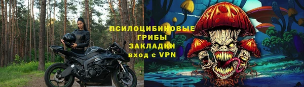 крисы Ельня
