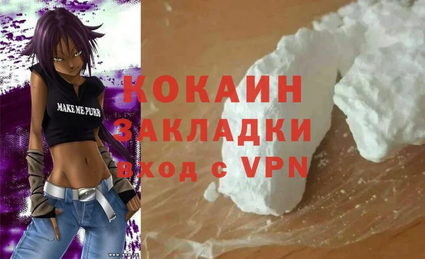 крисы Ельня