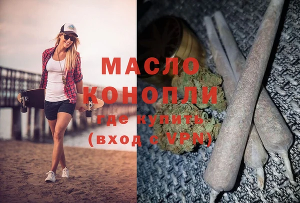 крисы Ельня