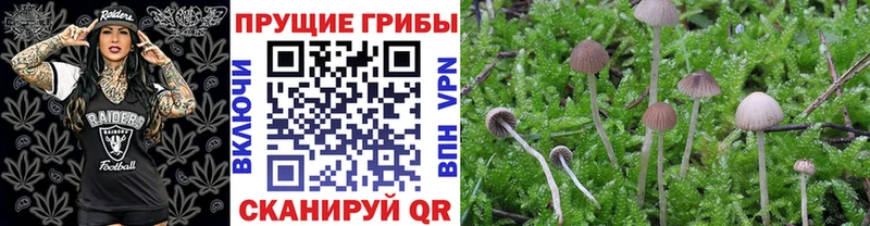 Псилоцибиновые грибы GOLDEN TEACHER  Пущино 