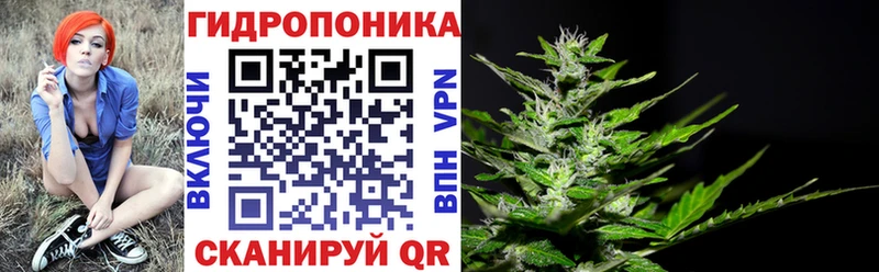 Бошки Шишки марихуана  ссылка на мегу маркетплейс  Пущино 